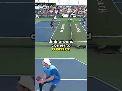 Pickleball Dinking Masterclass: Andre Daescu's Insane Control!