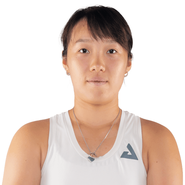 Chao Yi Wang